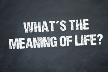 What's the Meaning of Life?	