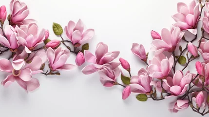 Poster pink magnolia flowers © Mynn Shariff