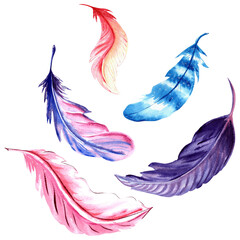 Feathers colorful flying.  Delicate composition. Hand draw watercolor illustration. Template for greeting card, scrapbooking, wrapping, 