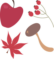 autumn vector set with apple berries maple leaf and mushroom. set of isolated fall symbols isolated on transparent background. cartoon autumn elements