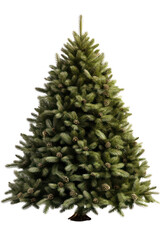 Christmas tree isolated on white transparent background, png. Xmas fir pine tree