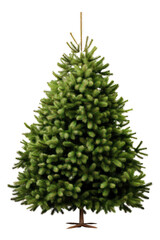 Christmas tree isolated on white transparent background, png. Xmas fir tree