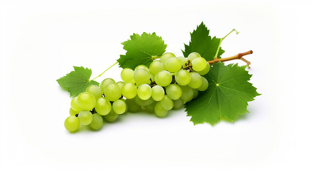 Leaves of grape and grape isolated on white background.