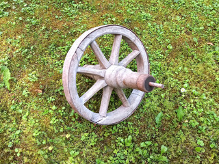 wooden wheel vintage in garden on grass