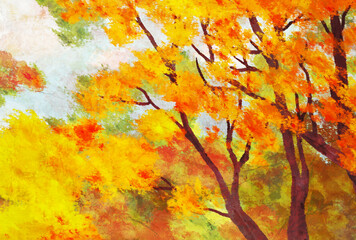 autumn leaves on the tree