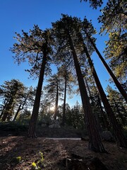 La vista, aveces lo que vemos como algo minimopuede convertirse en algo muy grande 