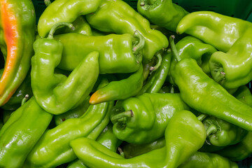Pimientos jalapeños