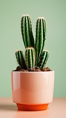 single cactus on pot with green background can be use for wallpaper, stories or story