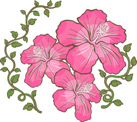 hibiscus pink flower and leaf 