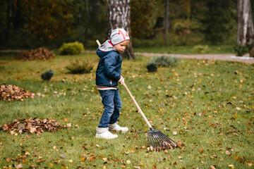 A little boy rakes fallen leaves in the backyard.