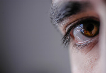 A watchful brown human eye looking at camera.