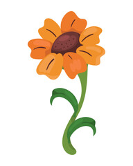 Flower sunflower icon