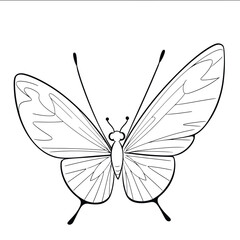 A vector of a cute Butterfly in black and white coloring transparent white background PNG