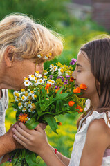 Grandmother and granddaughter hold medicinal herbs and flowers in their hands. Selective focus. © yanadjan