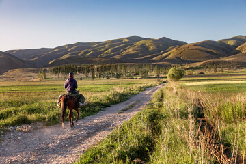 horse and nomadic rider on the road in Kyrgyzstan