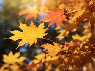 Naklejka na ściany i meble Enchanting Park Scene, Autumn's Colorful Foliage and Falling Leaves background
