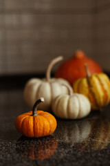 Still life of orange and white pumpkins in the kitchen. stock photo