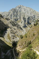The mountains and hiking trails of the picos de europa in Spain. These bright landscape images during the summer of the Spanish mountainsides showcase the rocky and dry environment. Lush green trails.