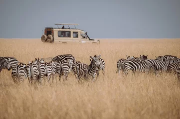 Foto op Canvas zebras in the serengeti © DSA