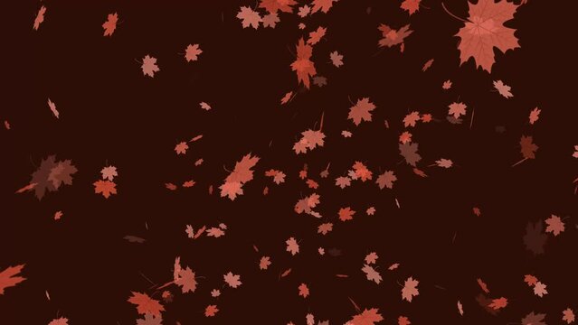 Fall Leaves Background