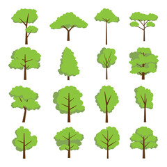 Flat trees set. forest tree nature plant isolated