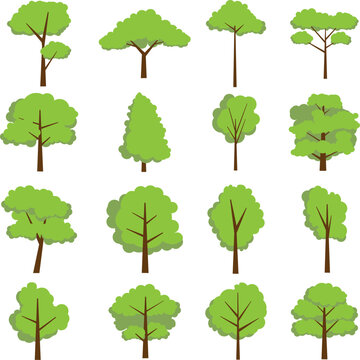 Flat trees set. forest tree nature plant isolated
