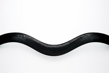 Isolated black snake tail on white banner. Generative AI - obrazy, fototapety, plakaty