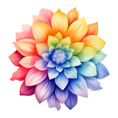 Fototapeta premium Bright watercolor flower in rainbow colors, single element on a white background