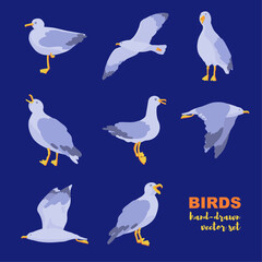 Fototapeta premium Hand-drawn vector set of seagulls. Atlantic seabird in a flat style. Seagulls in different poses.