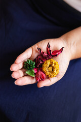 Woman's hand holding dried green, yellow and pink flowers on her palm. Concept of relaxation, spiritual practice, symbolism. Selective focus. Natural light.