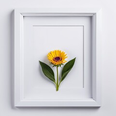 Flower in a white frame against a white background