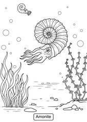 Ammonite Dinosaur line art for coloring page vector illustration