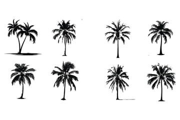 Fototapeta na wymiar Palm trees on the beach, palm trees silhouettes set of palm trees vector silhouette