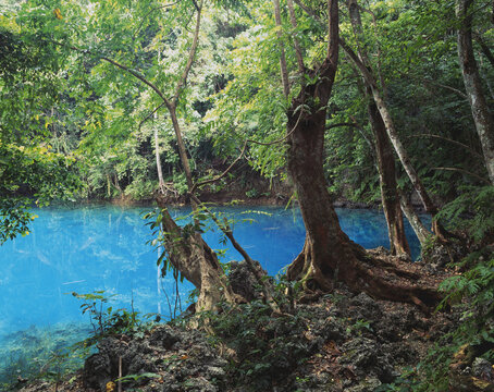 One Of Several Blue Holes On Efate Island; Efate Island, Vanuatu
