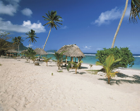 Samoan Beach With Traditional Style Fales By The Water; Upolu Island, Samoa