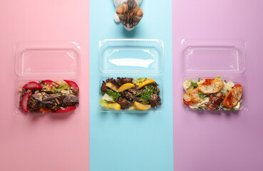 Small kitten chooses a salad in the boxes on a pastel background. Minimal, creative idea