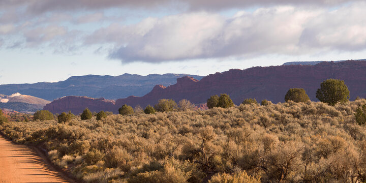 Mountains And Desert Plants On A Landscape In Kane County; Pahreah, Utah, United States of America