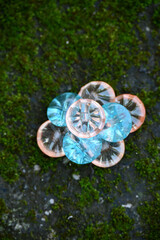 closeup the bunch orange ,sky button on the green grass soft focus natural green brown background.