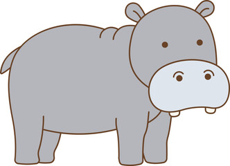 Hippopotamus