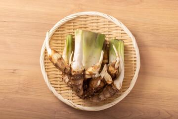 [宮城県産・蔵王]　いかり芋　(土垂れ芋)　早採れ里芋