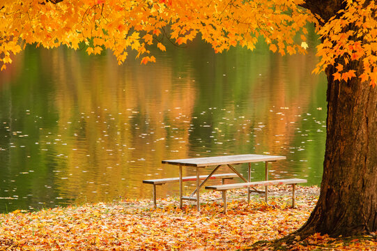 A picnic table beside a tranquil lake with golden leaves on the trees in autumn, shawnee state park; Ohio, united states of america