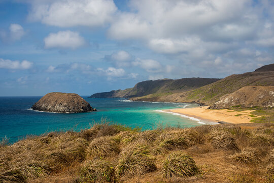 View of praia do leao; Fernando de noronha pernambuco brazil