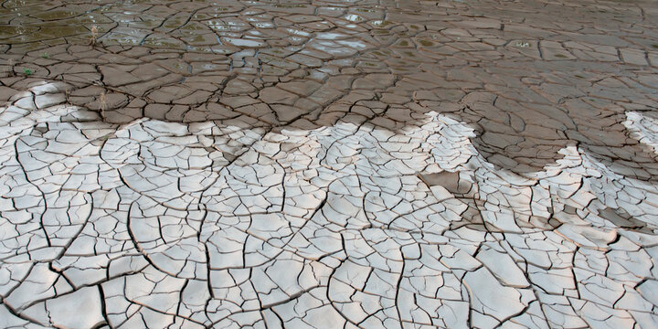 Dry cracked ground with water soaking into it