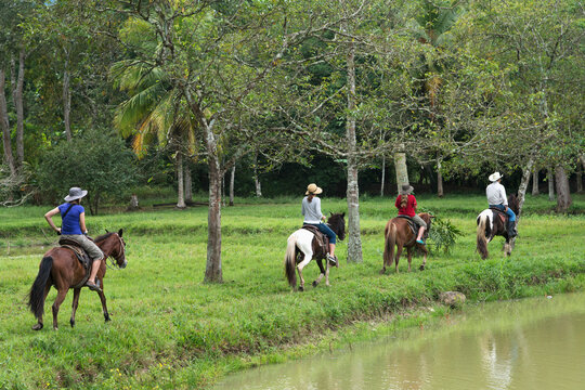 A Family Horseback Riding On A Trail Along The Water's Edge; Finca El Cisne, Honduras