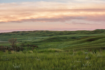 Sunrise In Grasslands National Park; Saskatchewan, Canada