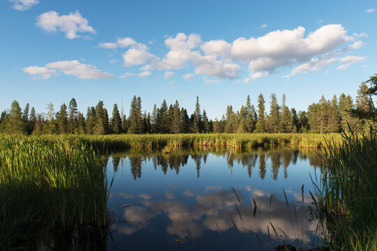Fototapeta Trees Long The Shoreline And Clouds Reflected In The Water Of Lake Audy In Riding Mountain National Park  Manitoba, Canada