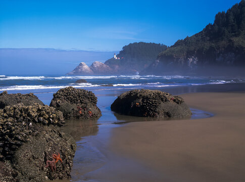 The Tide Ebbs Near Heceta Head; Florence, Oregon, United States Of America