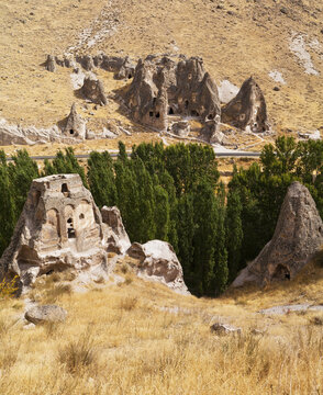 Fairy Chimneys And Trees In An Arid Landscape; Goreme, Cappadocia, Turkey