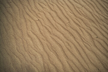 Sand dunes in the Senek desert in the Kazakh desert, sand texture in the desert