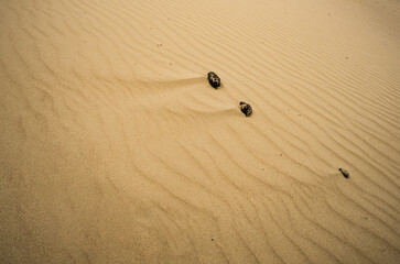 Sand dunes in the Senek desert in the Kazakh desert, sand texture in the desert